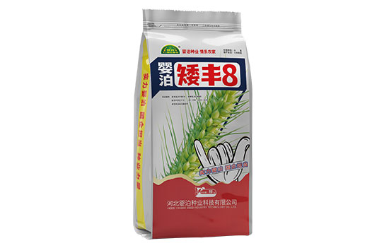 婴泊矮丰8