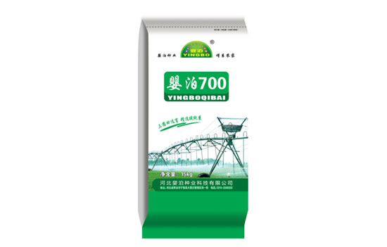 婴泊700