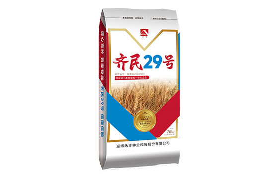 禾丰齐民29号