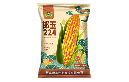 邯玉224
