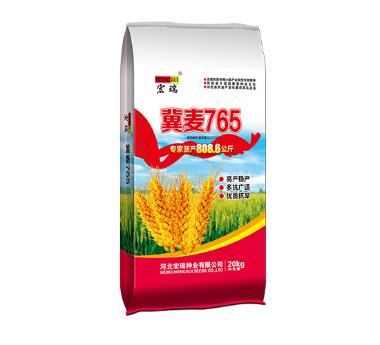 冀麦765 B