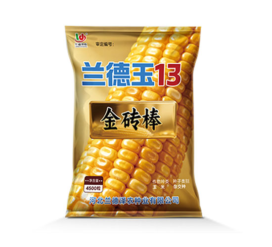 兰德玉13