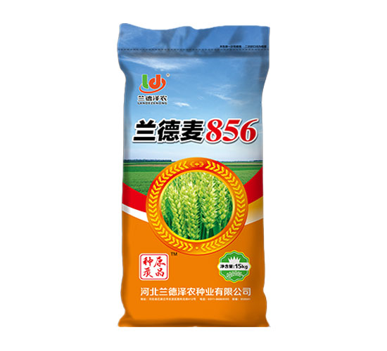 兰德麦856