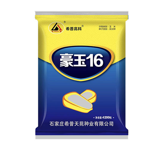 豪玉16