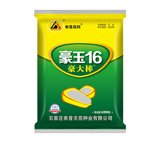 豪玉16-豪大棒