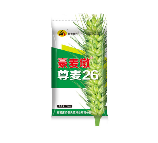 尊麦26