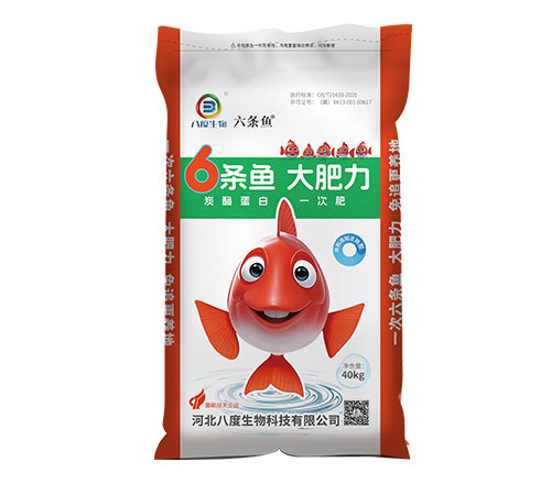6条鱼大力肥