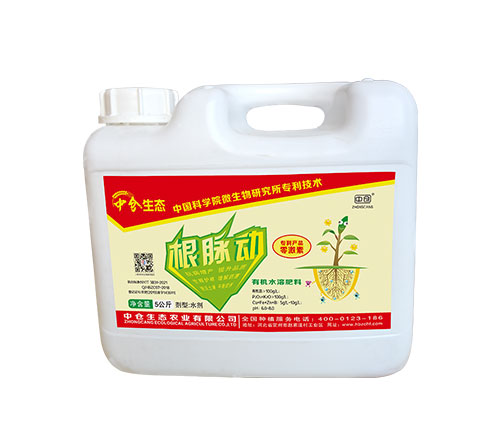 根脉动