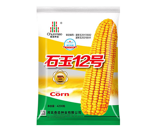 石玉12号
