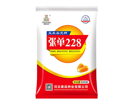 张单228