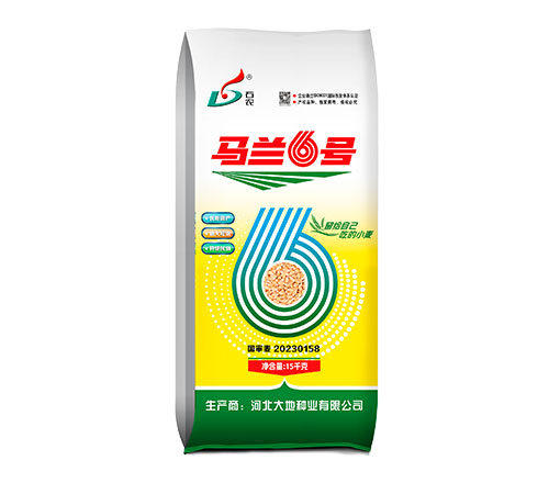 马兰6号