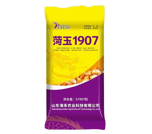 菏玉1907-山东海禾农业科技有限公司