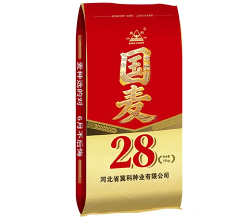 国麦28