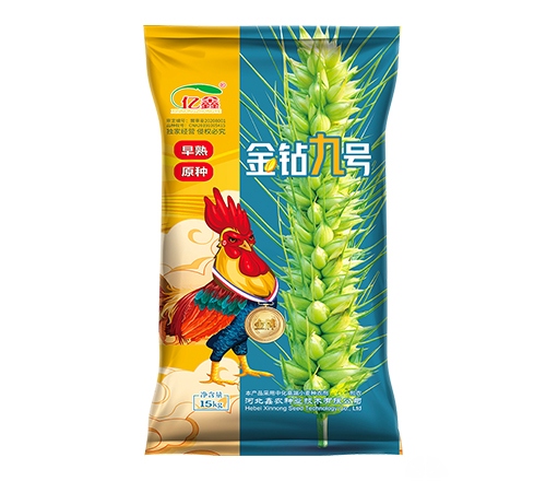 金钻九号