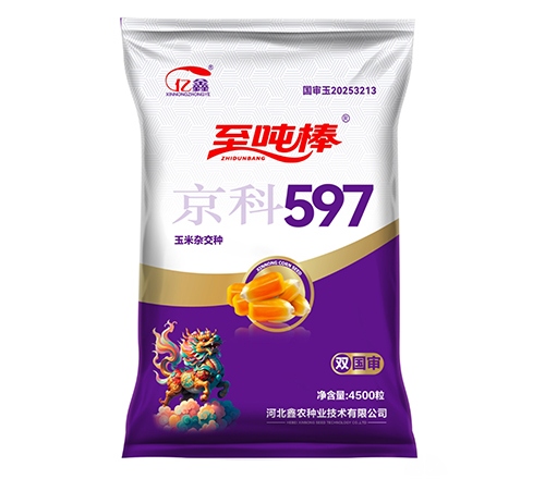 京科597