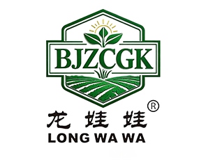 <a href='https://www.nongwosi.com/zhaoshang/show_191.html'>西北龙棒 龙玉1319</a>&nbsp;&nbsp;